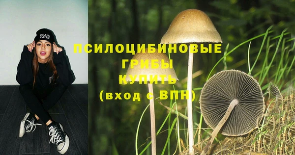 прущая мука Абаза