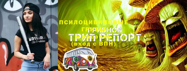 шишки Абдулино