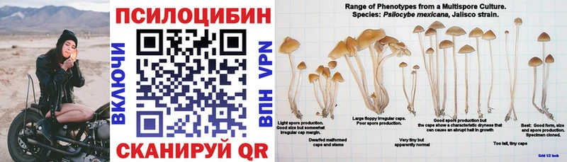 закладки  Приморско-Ахтарск  Галлюциногенные грибы прущие грибы 